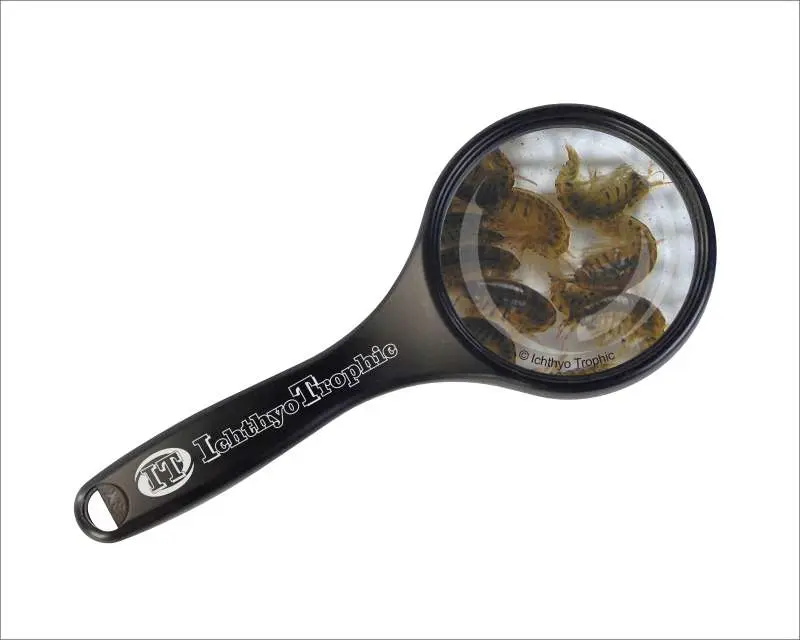 Marine Flohkrebse Lebendfutter 90 ml – Gammarus oceanicus