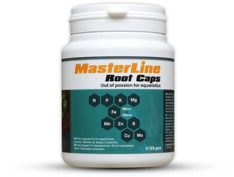 MasterLine Root Caps – 60 Stück
