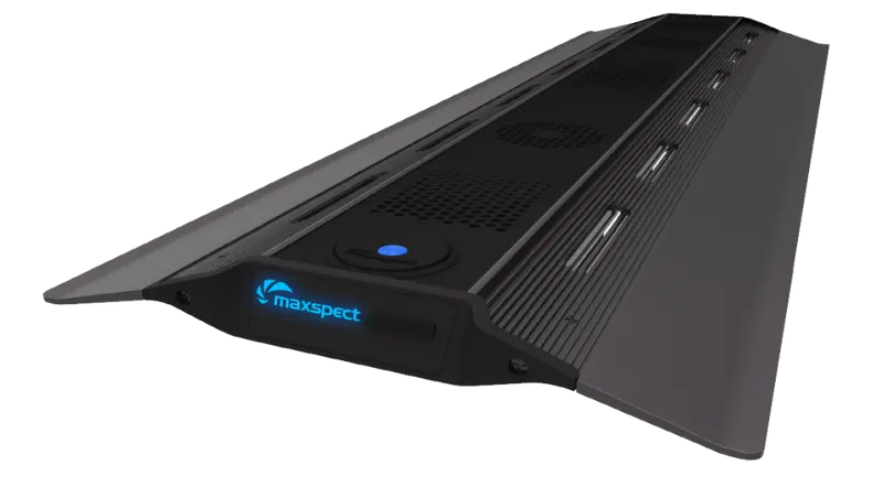 Maxspect RSX