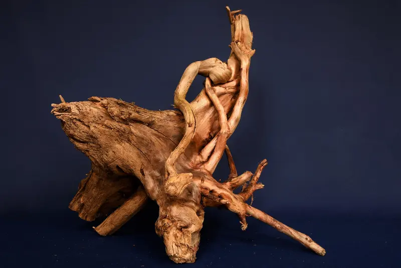 Moorkienwurzel, echtes Moorkienholz, Größe "L", Premium - M395