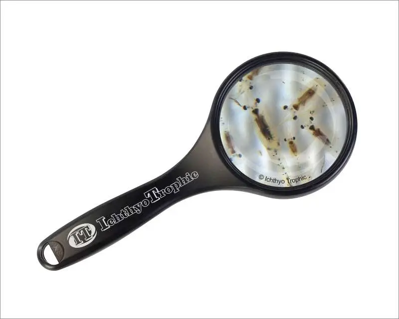 Mysis Lebendfutter 90 ml – Mysis-Krebse für Fische & Axolotl