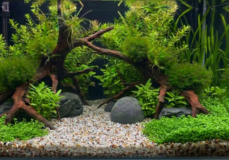 Naturkies Malibu Mix (2-3 mm) 5kg