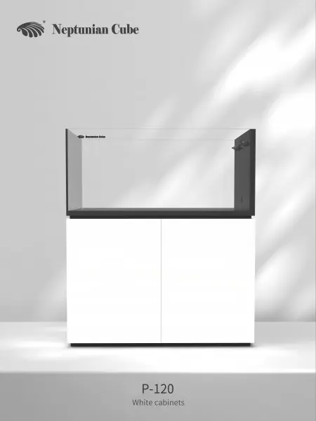 Neptunian Cube Aquarium P 120 - 350 Liter - Raumteiler