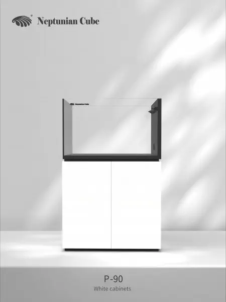 Neptunian Cube Aquarium P 90 - 250 Liter - Raumteiler