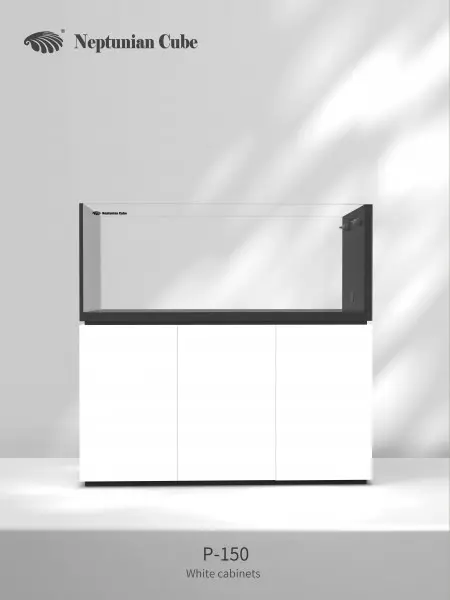 Neptunian Cube P150 Raumteiler Aquarium – 462 Liter