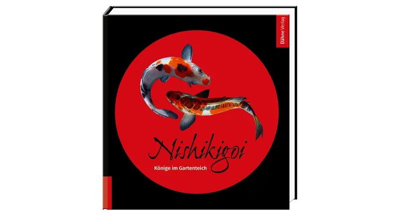 Nishikigoi - Könige im Gartenteich