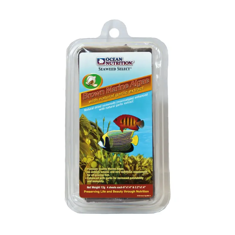 Ocean Nutrition Braune Meeresalgen (Brown Marine Algae)