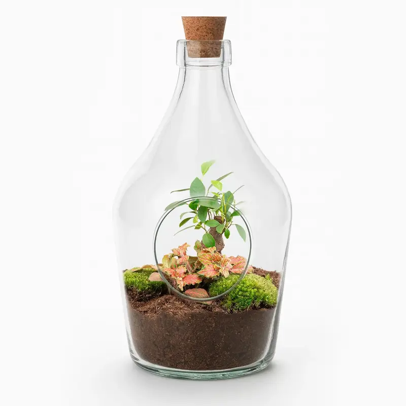 offenes Terrarium Bonsai | Bonsai & Fittonia Ruby Lime – Stilvoller grüner Blickfang (30 cm) 🌿 - ES+