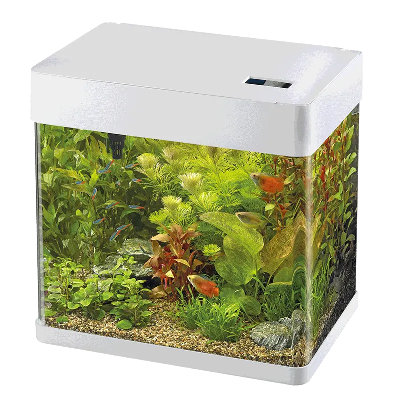 Panorama 35 LED Aquarium