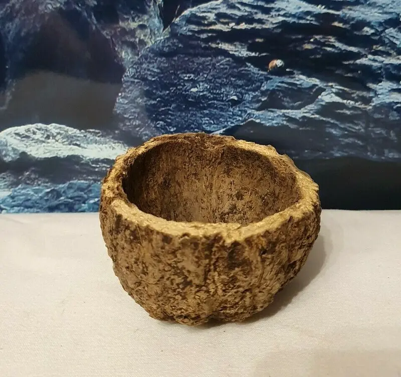Paranuss Halbschale ca. 8-10cm - Höhle, Futterschale, Aquarium, Terrarium