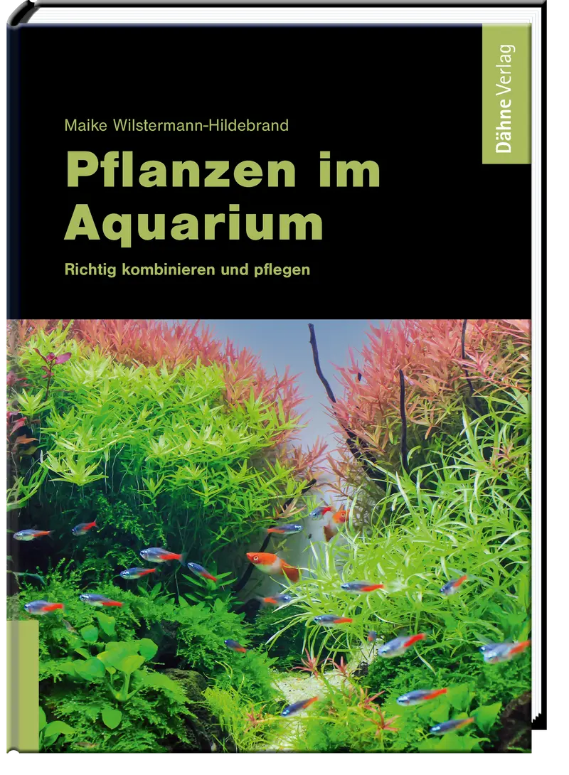 Pflanzen im Aquarium