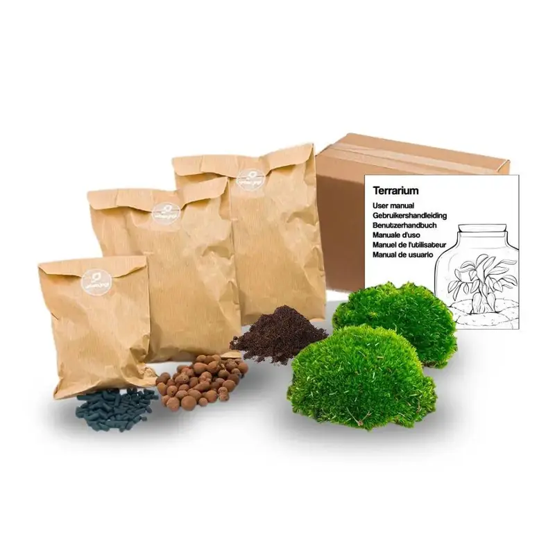 Pflanzenterrarium Nachfüll- & Starter-Set – DIY-Kit für Dein Mini-Ökosystem (Größe S/M) 🌿✨ - ES+