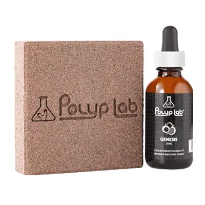 PolypLab Genesis Rock Booster