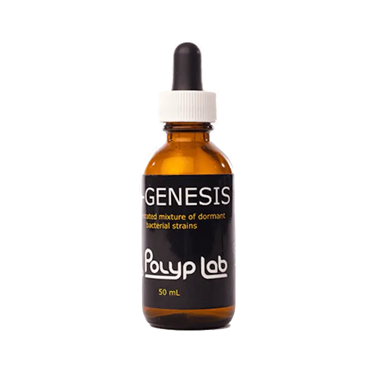Polyplab PolyLab RF- Genesis Bacteria