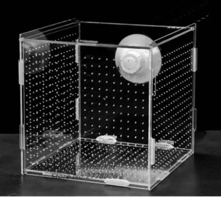 Powershrimp breeding box