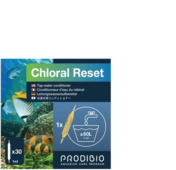 Prodibio Chloral Reset – Chlor & Chloramin neutralisieren | 30 Ampullen