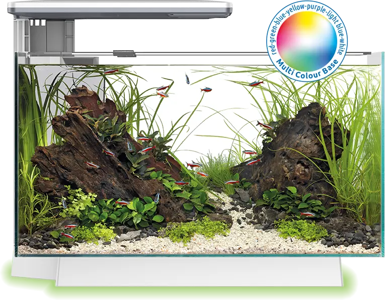 Quadro 40 Multi Colour Weiß