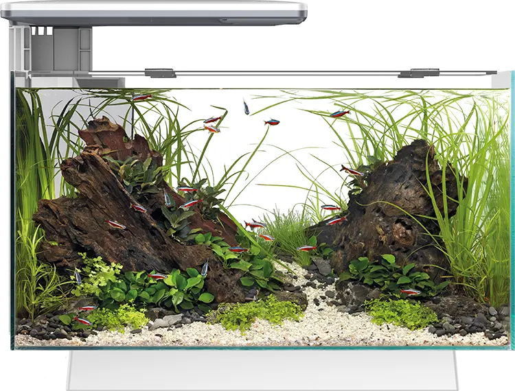 Quadro Pro 40 Weiß