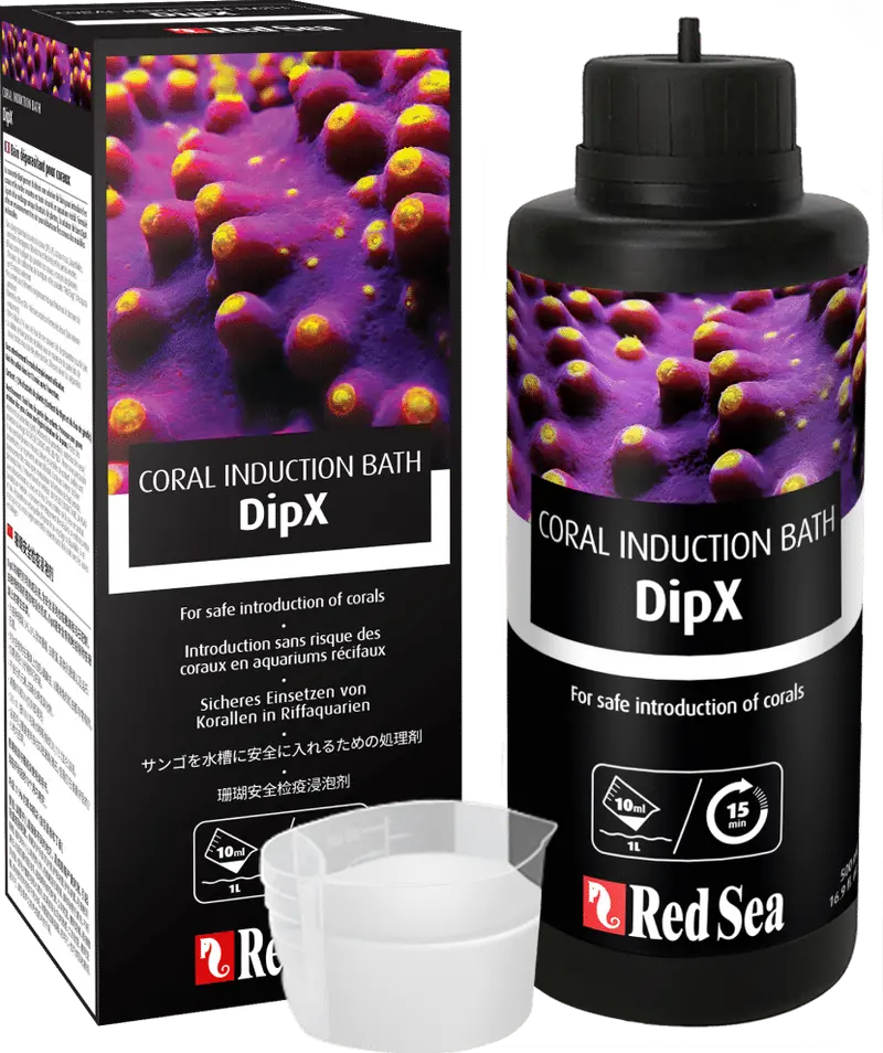Red Sea DipX