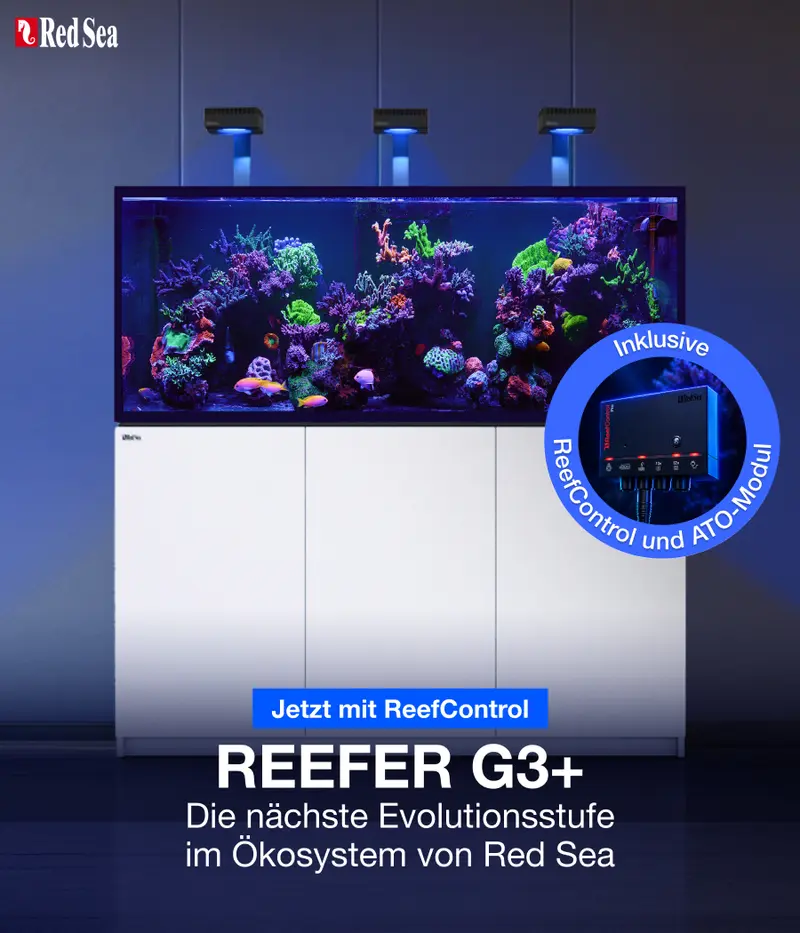 Red Sea REEFER G3+