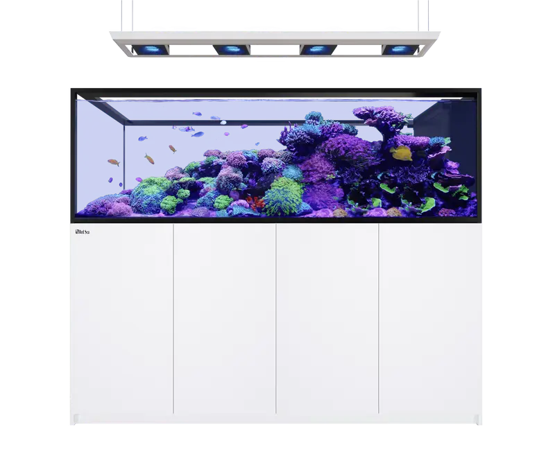 Red Sea REEFER Peninsula G3 S-950 Deluxe System Raumteiler mit 3 x ReefLed 170S (R43556G2PA/R43557G2PA)