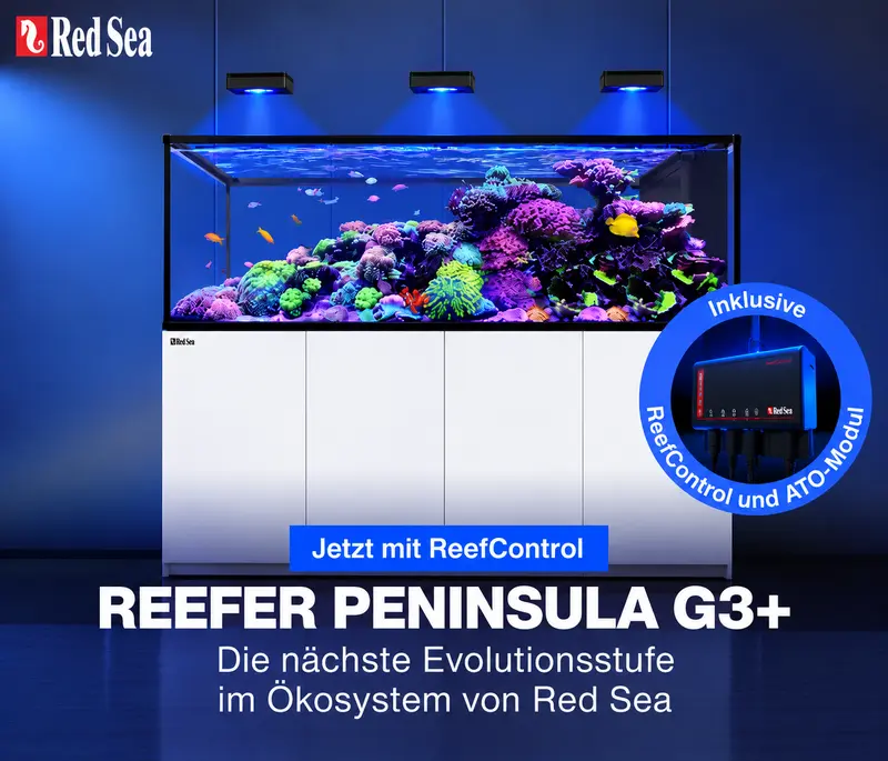 Red Sea REEFER Peninsula G3+