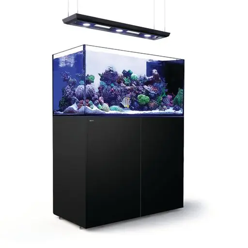 Red Sea REEFER™ Peninsula 500 G3+ Raumteiler Meerwasseraquarium