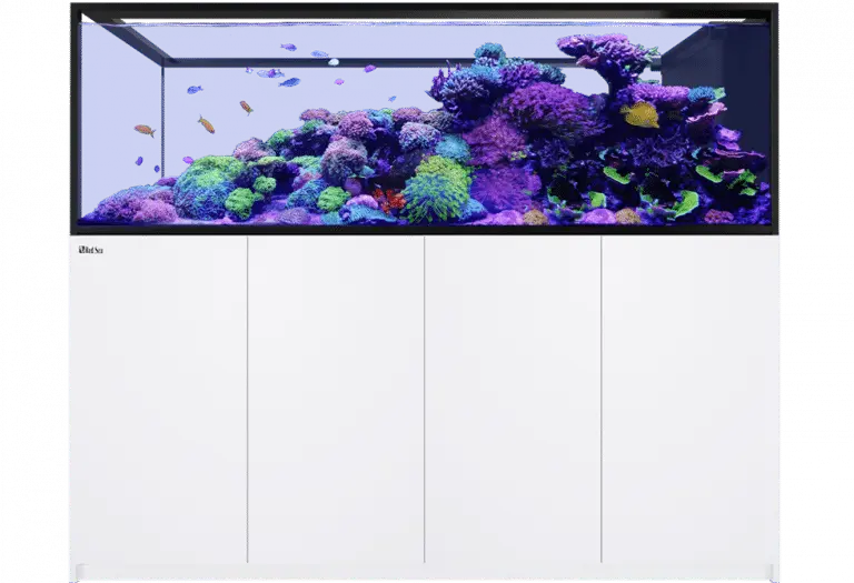 Red Sea REEFER™ Peninsula S-950 G3+ Raumteiler Meerwasseraquarium – Standard & MAX