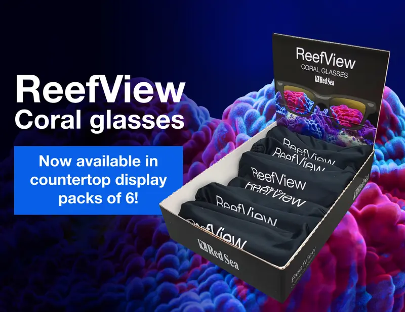 Red Sea ReefView Korallenbrille – Display-Box | 6er-Box