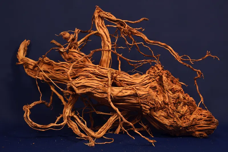 Redwood, Aquarium Wurzel, Größe "L", Exklusiv, RH2755