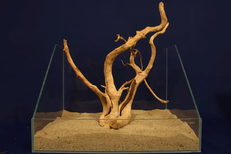 Redwood, Aquarium Wurzel, Größe "L", Exklusiv, RH2778