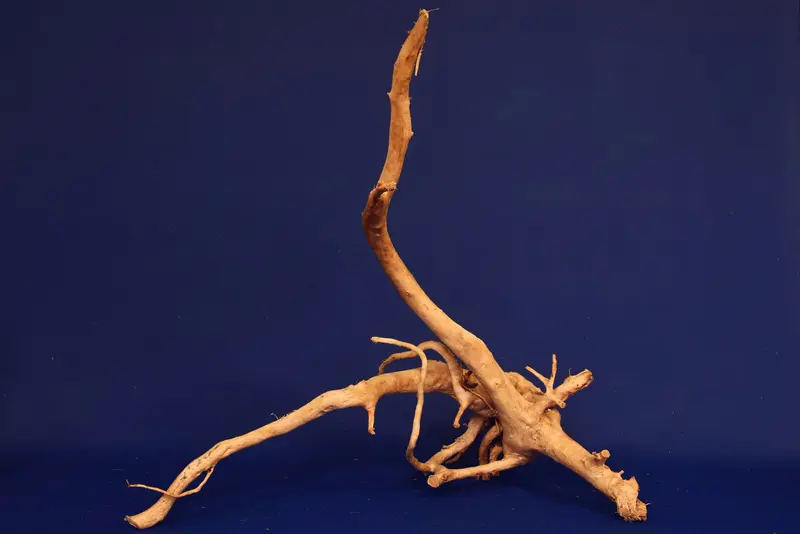 Redwood, Aquarium Wurzel, Größe "L", Premium, RH2705
