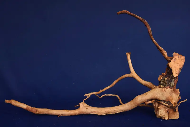 Redwood, Aquarium Wurzel, Größe "L", Premium, RH2772