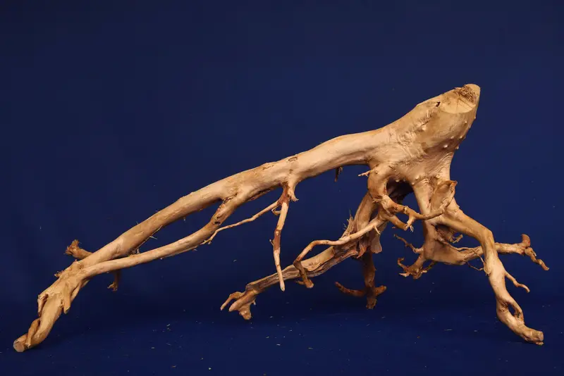 Redwood, Aquarium Wurzel, Größe "L", Premium, RH2773