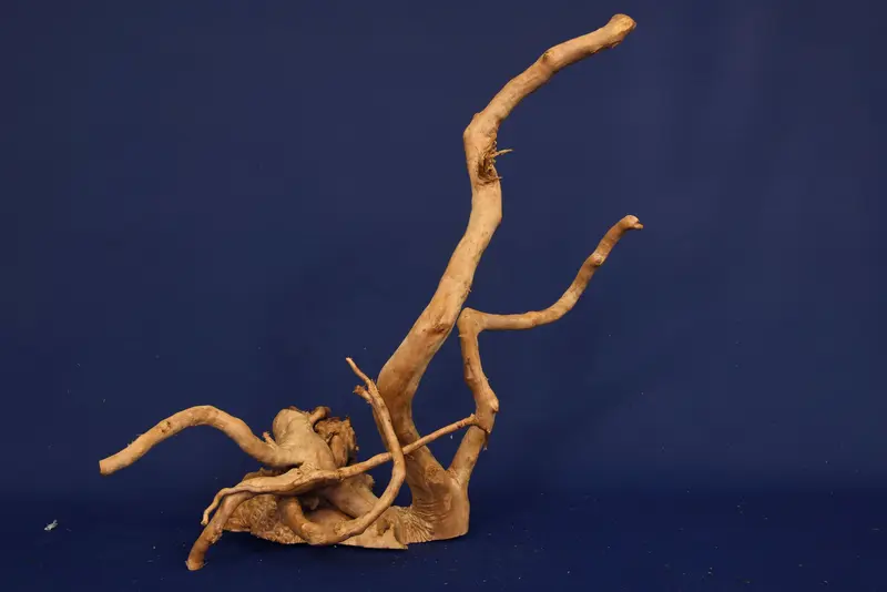 Redwood, Aquarium Wurzel, Größe "L", Premium, RH2795