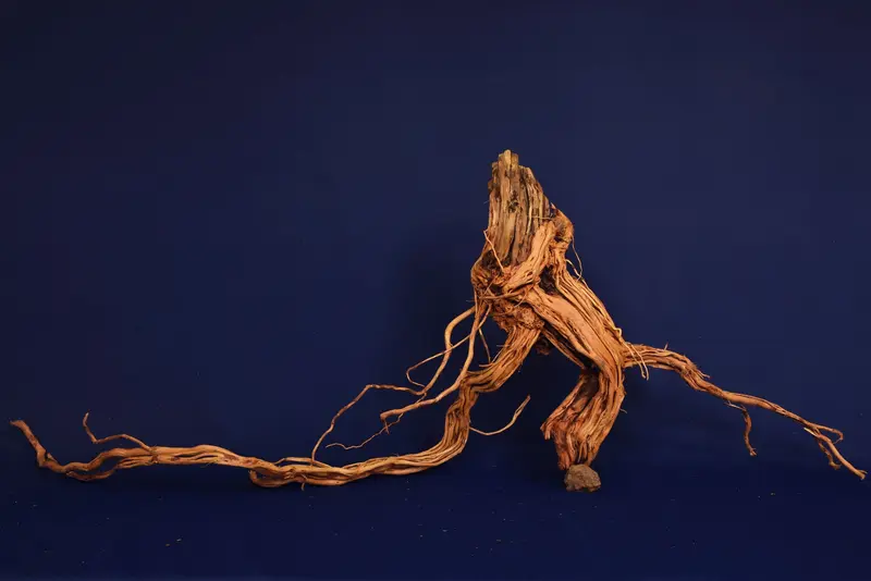 Redwood, Aquarium Wurzel, Größe "XL", Exklusiv, RH2765