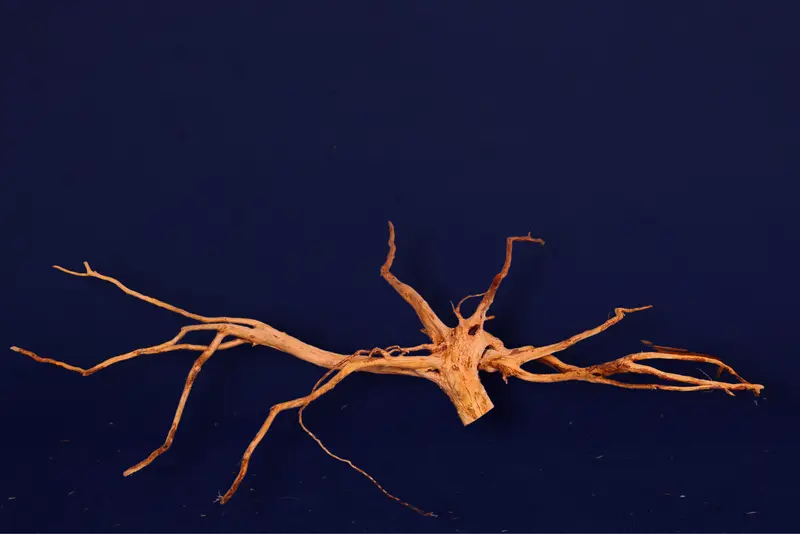Redwood, Aquarium Wurzel, Größe "XL", Premium, RH2587