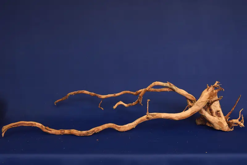 Redwood, Aquarium Wurzel, Größe "XL", Premium, RH2699