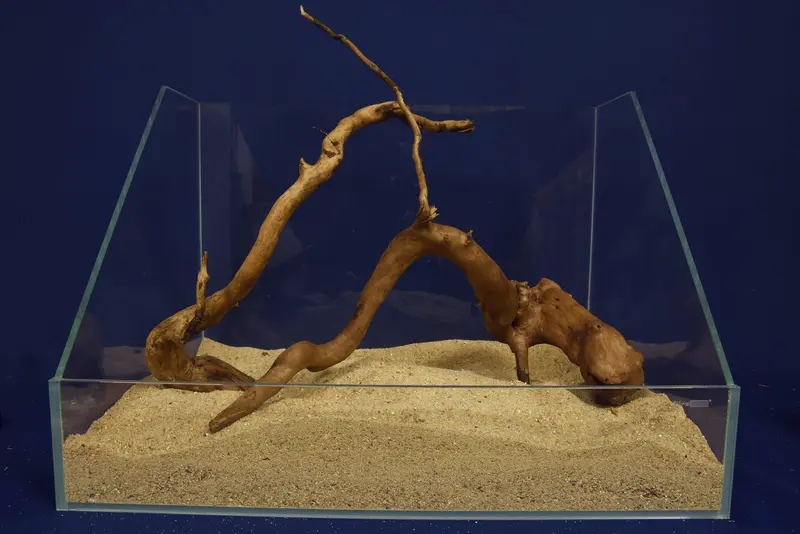 Redwood, Aquarium Wurzeln, 2er Set, RH2781a