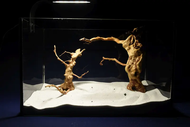Redwood, Aquarium Wurzeln, 2er Set, RH2787