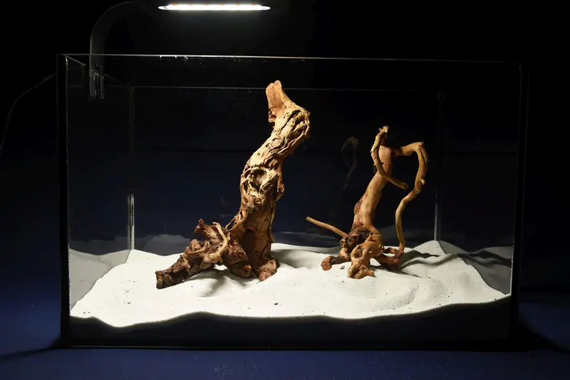 Redwood, Aquarium Wurzeln, 2er Set, RH2788