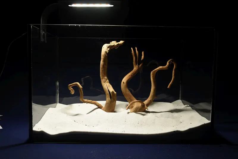 Redwood, Aquarium Wurzeln, 2er Set, RH2791