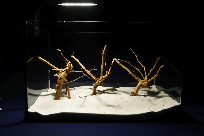 Redwood, Aquarium Wurzeln, 3er Set, RH2792