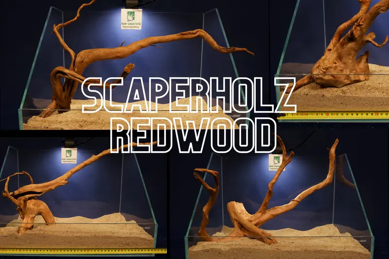 Redwood, Aquarium Wurzeln, verschiedene Varianten #15