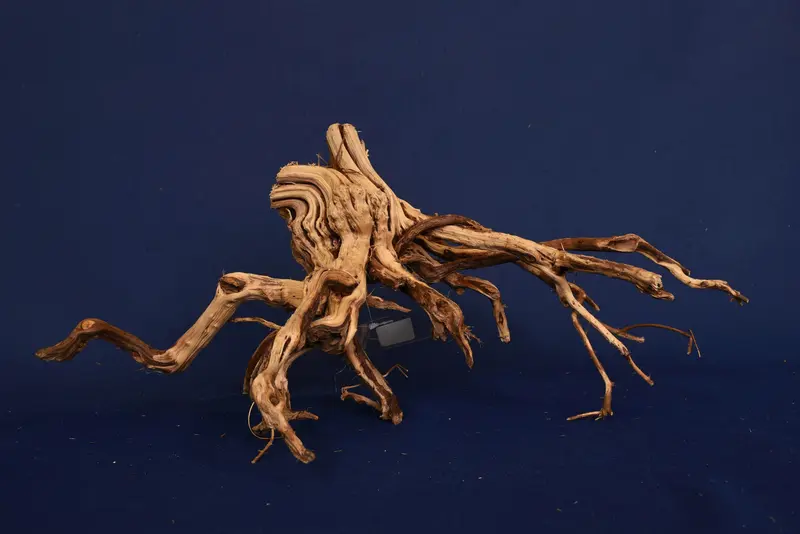 Redwood Etosha Tree, Aquarium Wurzel, Nano, Exklusiv, ET113