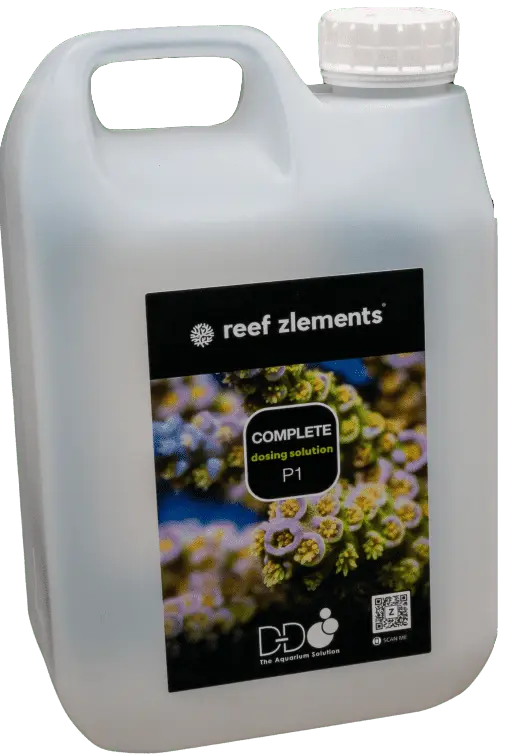 Reef Zlements Complete 1/2