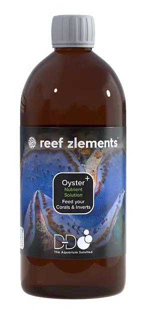 Reef Zlements Oyster+