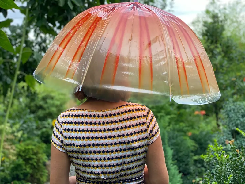 Regenschirm Kompassqualle