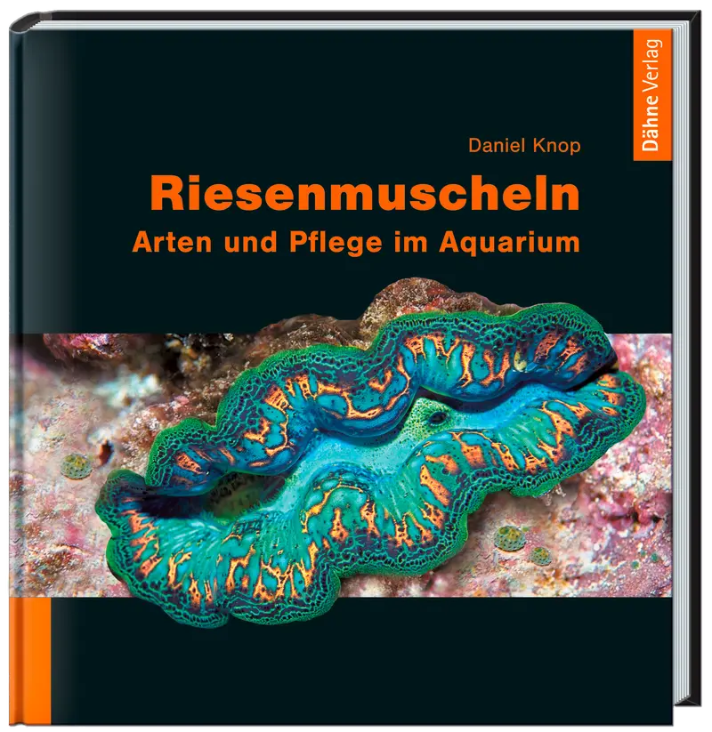 Riesenmuscheln