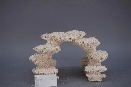 Riffkeramik Torbogen